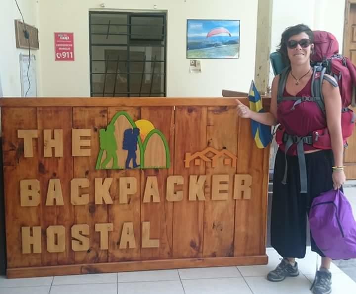 The Backpacker Hostal イバラ エクステリア 写真